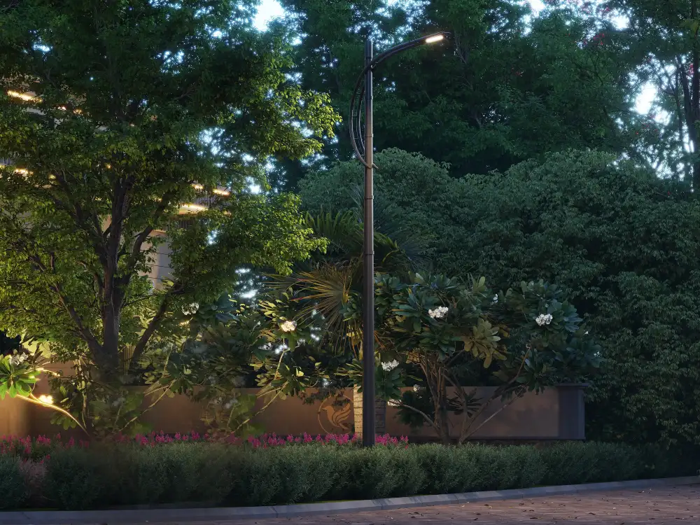 Light Pole Night View